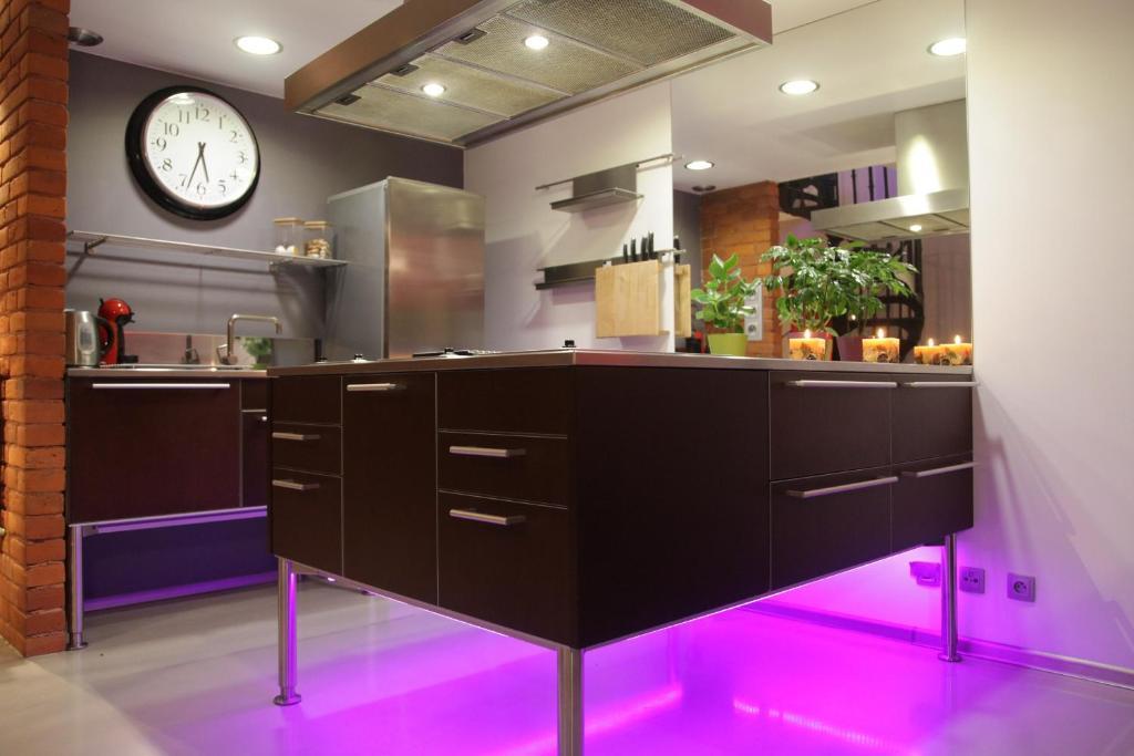 Apartment Loft Lodz (Lodz)